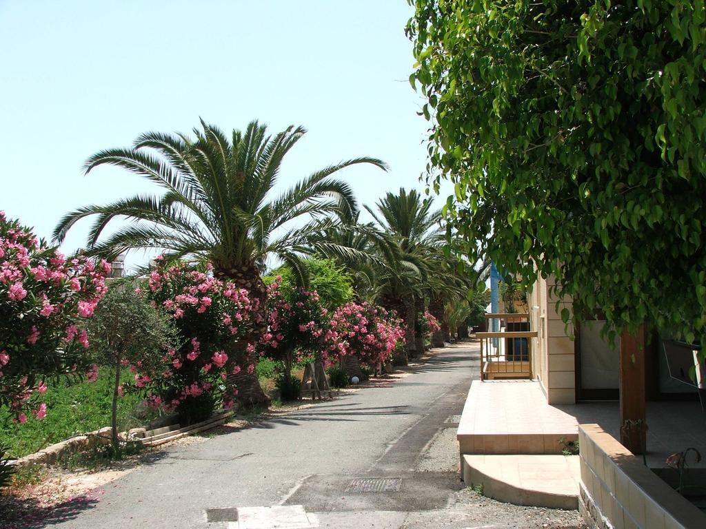 Dimma Seaside Houses Paphos Extérieur photo