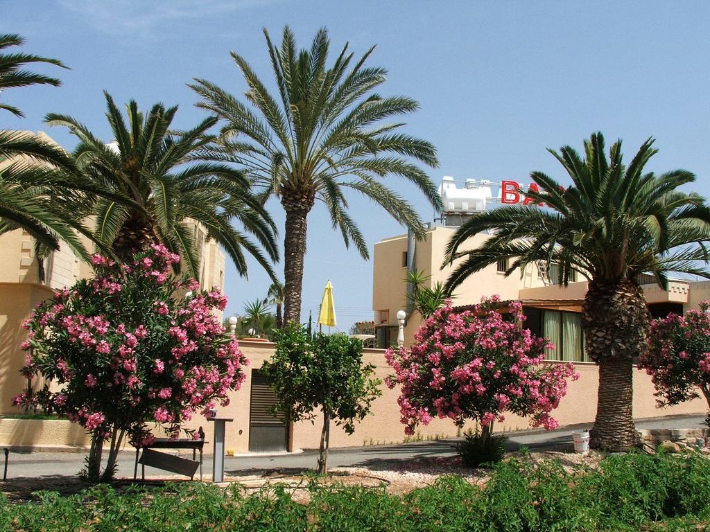 Dimma Seaside Houses Paphos Extérieur photo