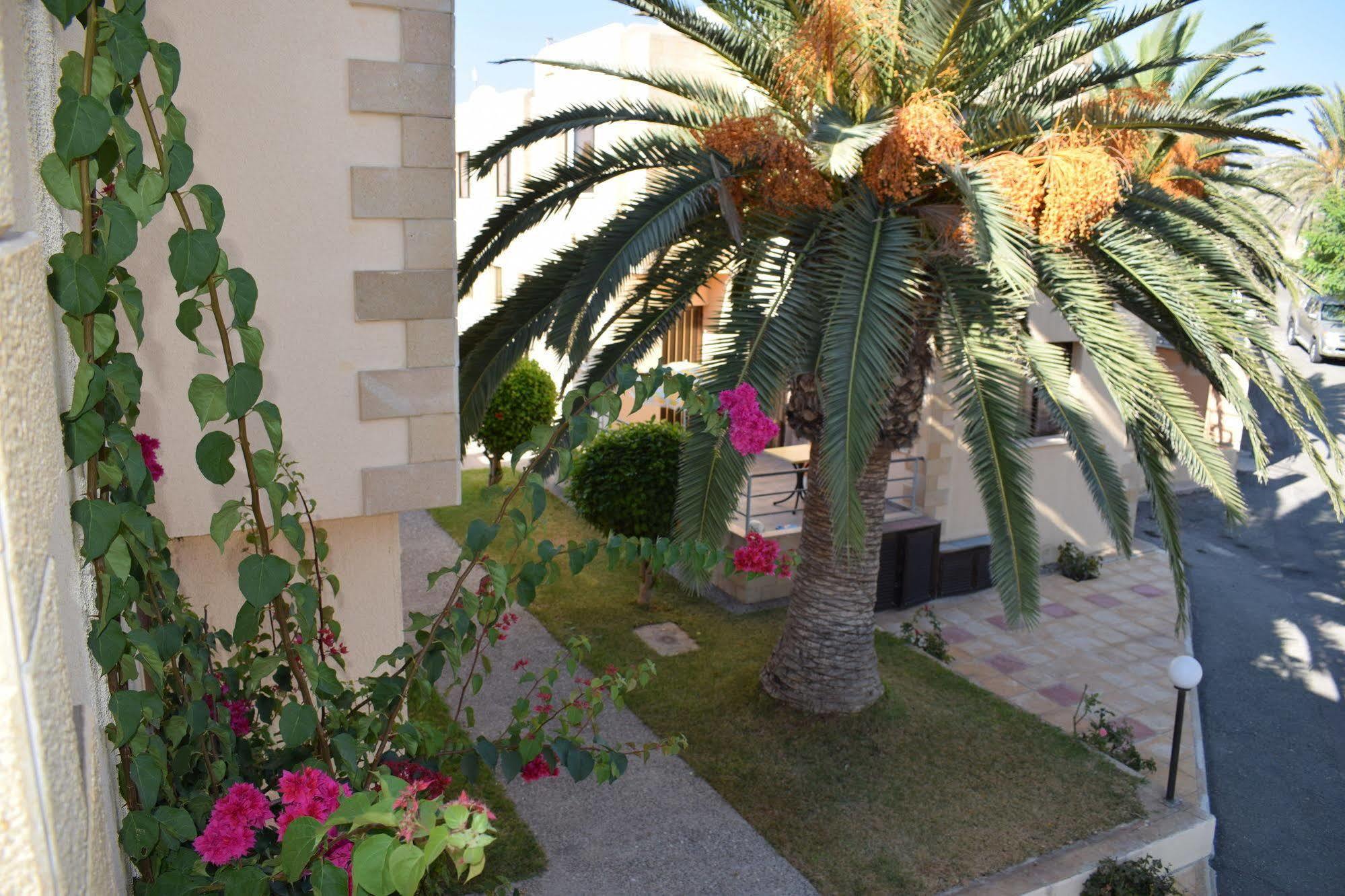Dimma Seaside Houses Paphos Extérieur photo
