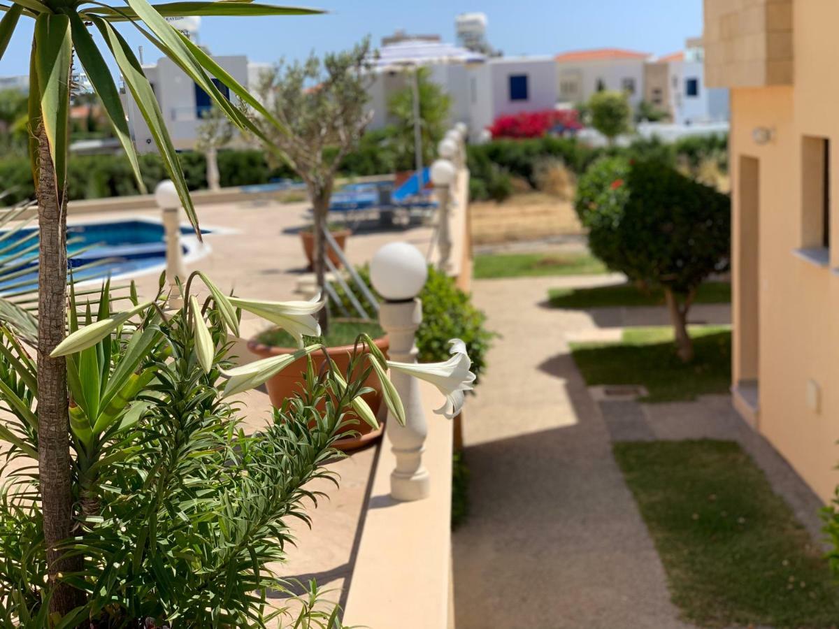 Dimma Seaside Houses Paphos Extérieur photo